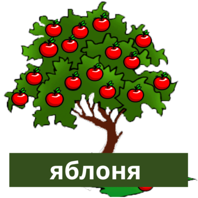 яблоня